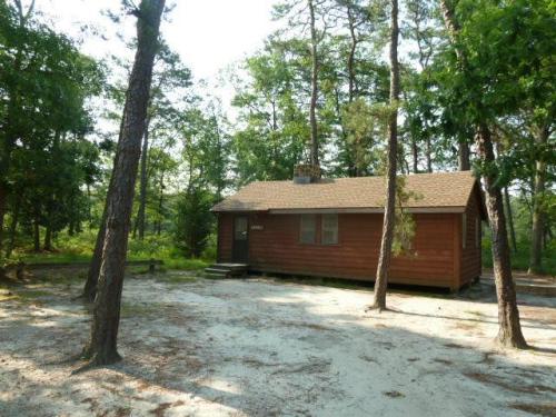 A small wooden cabin surrounded by trees, with a sandy area in front and a clear blue sky above.