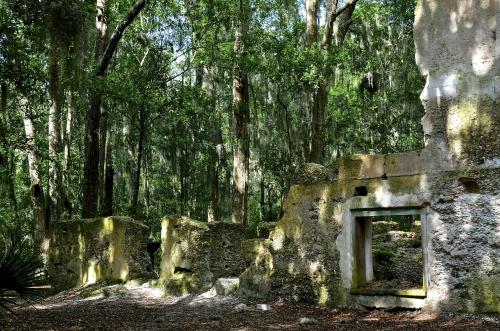 Ruins of a stone structure surrounded by lush green trees and moss, creating a serene, overgrown atmosphere.