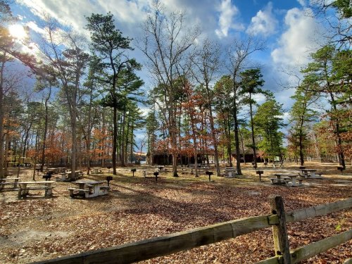 A serene park scene with picnic tables surrounded by trees, under a partly cloudy sky.