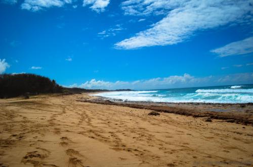 A sandy beach with gentle waves, under a bright blue sky with scattered clouds and distant greenery.