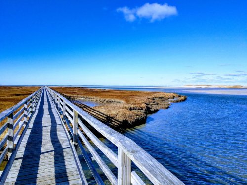 A wooden boardwalk stretches over calm waters, surrounded by marshland under a clear blue sky.