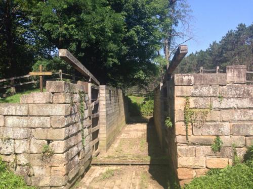 A stone pathway leads through two weathered walls, surrounded by greenery and trees under a clear blue sky.