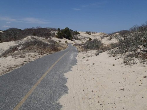 A winding road through sandy dunes, surrounded by sparse vegetation under a clear blue sky.