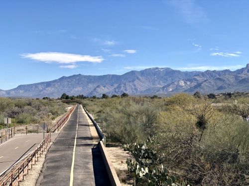 A scenic view of a paved path leading towards mountains, surrounded by desert vegetation and clear blue skies.