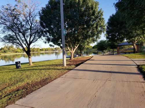 A peaceful park path lined with trees, leading to a calm lake under a clear blue sky.