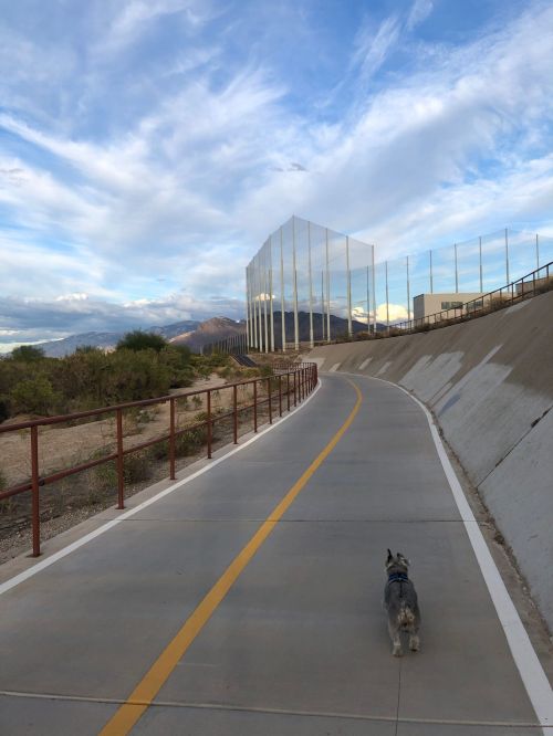 A dog walks along a paved path beside a tall, reflective border wall under a blue sky with clouds.