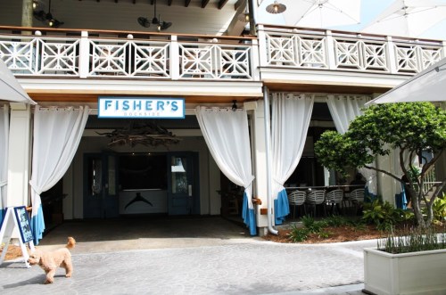 Entrance of Fisher's Dockside restaurant with white curtains, a dog walking by, and outdoor seating visible.