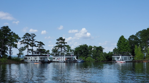 Three houseboats docked on a calm lake, surrounded by lush green trees and a clear blue sky.