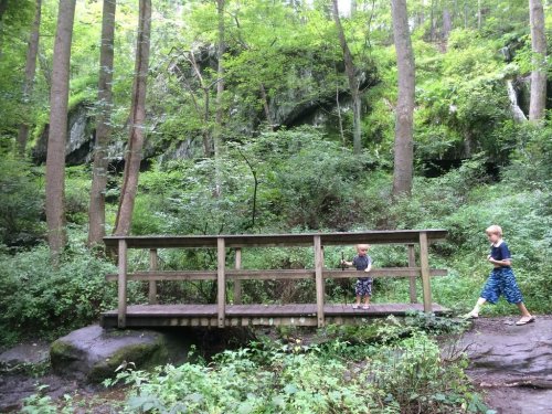 Two children walk on a wooden bridge in a lush, green forest surrounded by trees and rocky cliffs.