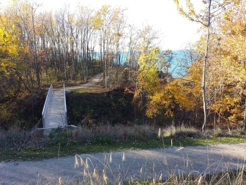 A wooden bridge leads to a path through colorful autumn trees by a lake, with vibrant foliage and clear blue water.