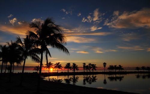 Silhouetted palm trees against a vibrant sunset, reflecting in calm water with colorful clouds in the sky.