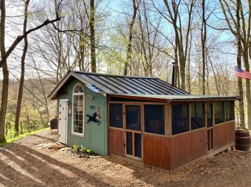 A small, rustic cabin with a green and brown exterior, surrounded by trees and sunlight, featuring a screened porch.