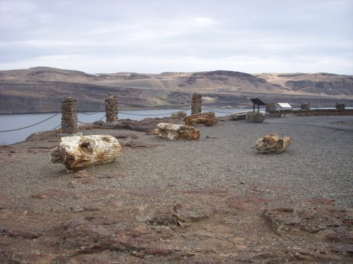 A rocky landscape with large petrified wood pieces and a view of a river and hills in the background under a cloudy sky.