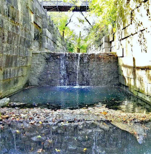 A serene water feature flows over stone walls into a calm pool, surrounded by greenery and autumn leaves.
