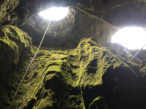 View looking up from inside a rocky cave, with sunlight streaming through two openings and moss-covered walls.