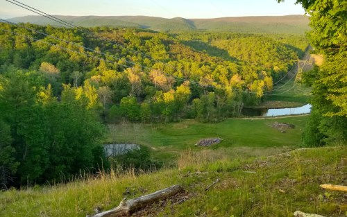 A scenic view of rolling green hills, trees, and a small pond under a clear sky, with power lines in the foreground.