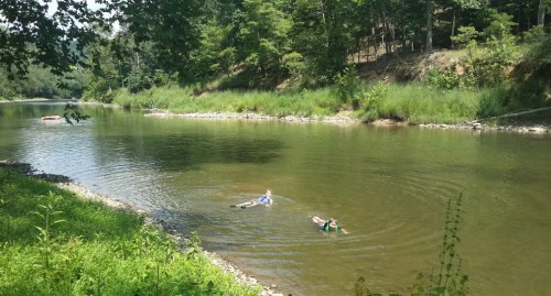 Two people swim in a calm river surrounded by lush greenery and trees on a sunny day.