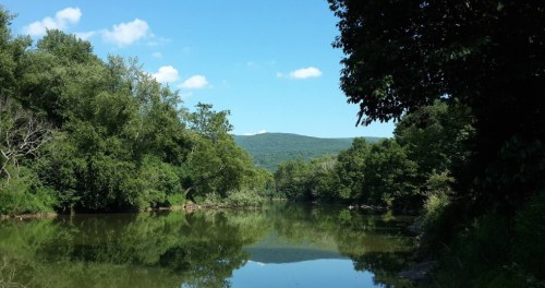 A serene river scene surrounded by lush greenery and distant mountains under a clear blue sky.