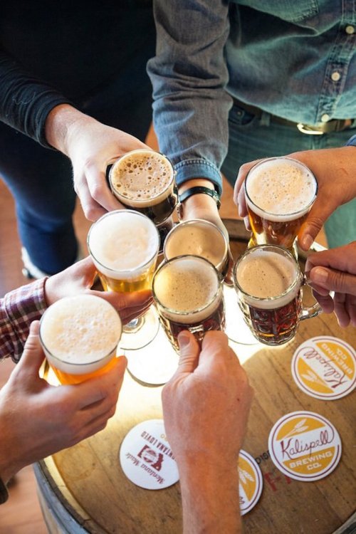 A group of hands holding various beer mugs in a toast, with a wooden barrel and coasters in the background.