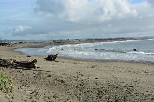 A serene beach scene with gentle waves, sandy shore, and scattered driftwood under a cloudy sky.