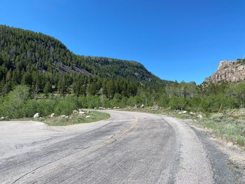 A winding road surrounded by lush green trees and mountains under a clear blue sky.