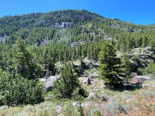 A lush green mountain landscape with rocky outcrops and dense trees under a clear blue sky.
