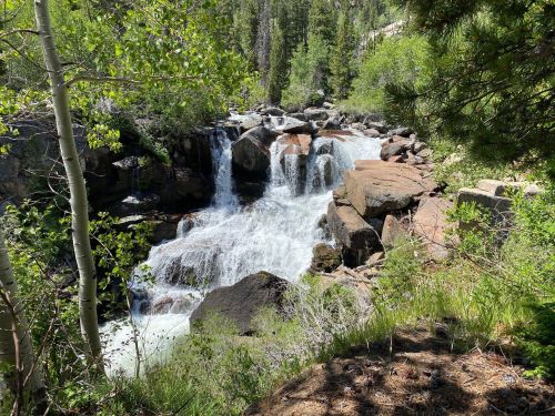 A serene waterfall cascades over rocks, surrounded by lush greenery and trees in a peaceful natural setting.