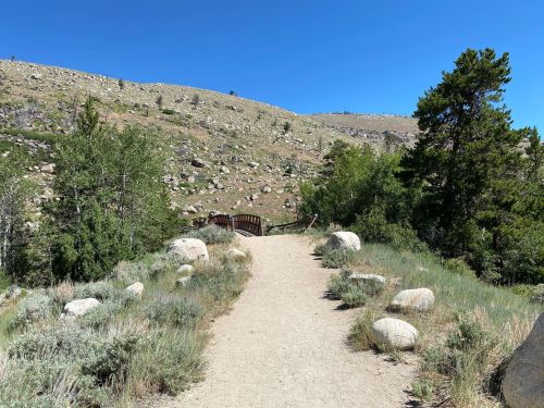 A dirt path leads through greenery and rocks, with a wooden bridge in the distance against a clear blue sky.