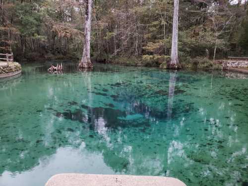 A serene, clear blue-green pond surrounded by trees, reflecting the natural landscape.