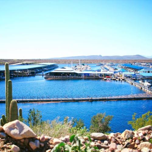 A scenic view of a marina with boats on blue water, surrounded by hills and cacti under a clear blue sky.