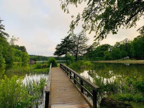 A wooden walkway leads through lush greenery to a serene lake, surrounded by trees under a cloudy sky.