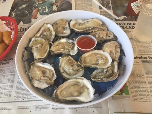 A bowl of fresh oysters on ice, served with a small cup of cocktail sauce.