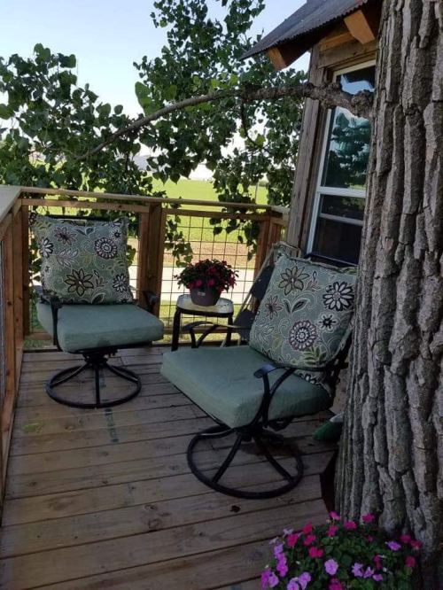 A cozy porch with two green chairs, a potted plant, and a tree trunk nearby, surrounded by a scenic view.