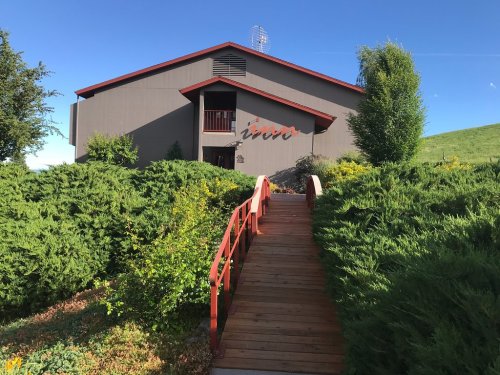 A wooden walkway leads to a modern building surrounded by greenery under a clear blue sky.