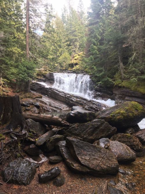 A serene waterfall cascades over rocks, surrounded by lush green trees in a tranquil forest setting.