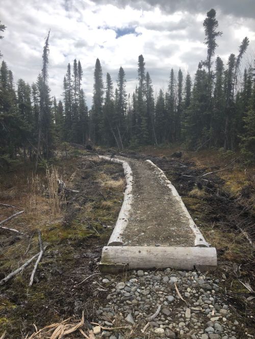 A winding wooden path through a forested area with tall trees and a cloudy sky above.