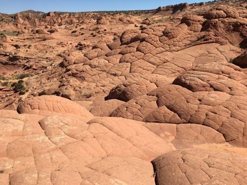 A vast landscape of textured, reddish rock formations under a clear blue sky.
