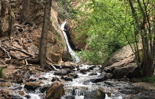 A serene forest scene featuring a cascading waterfall surrounded by lush greenery and rocky terrain.