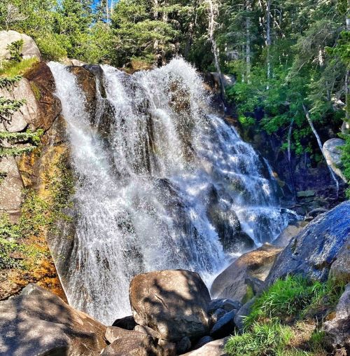A cascading waterfall surrounded by lush greenery and large rocks under a clear blue sky.