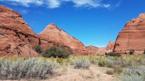 Red rock formations rise against a bright blue sky, surrounded by sparse vegetation and wildflowers.