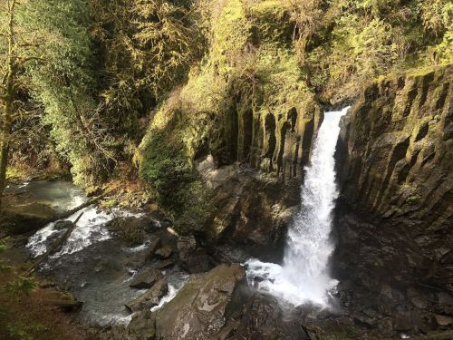 A serene waterfall cascades over rocky cliffs, surrounded by lush green trees and a flowing river below.