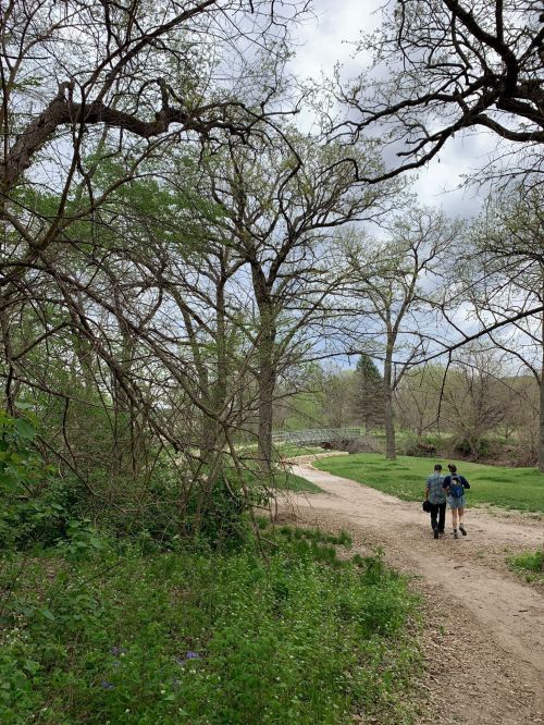 Two people walk along a winding dirt path surrounded by trees and greenery on a cloudy day.
