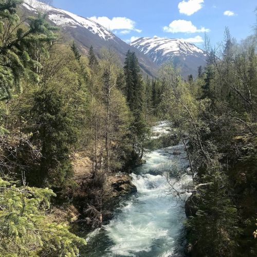 A scenic view of a rushing river surrounded by lush greenery and snow-capped mountains under a clear blue sky.