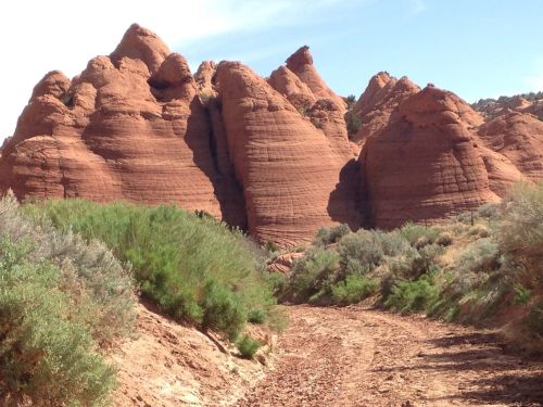 Red rock formations rise above a dirt path, surrounded by green shrubs under a clear blue sky.