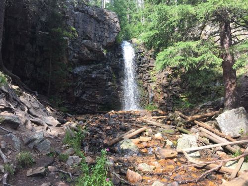 A serene waterfall cascades over rocks, surrounded by lush greenery and fallen logs in a tranquil forest setting.