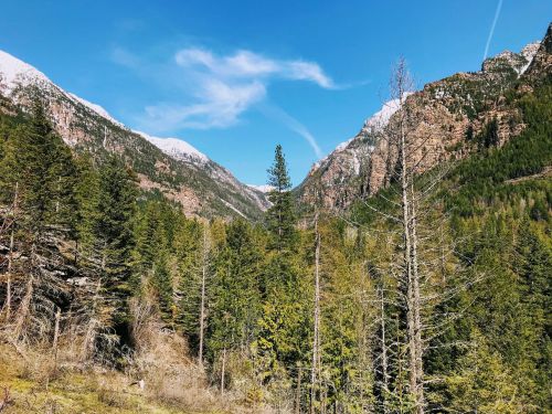 A scenic view of mountains with snow-capped peaks, lush green trees, and a clear blue sky.