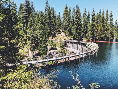 A winding wooden walkway along a serene lake, surrounded by tall pine trees and clear blue skies.
