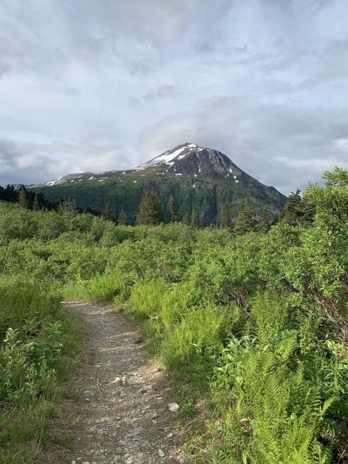 A gravel path leads through lush greenery towards a snow-capped mountain under a cloudy sky.