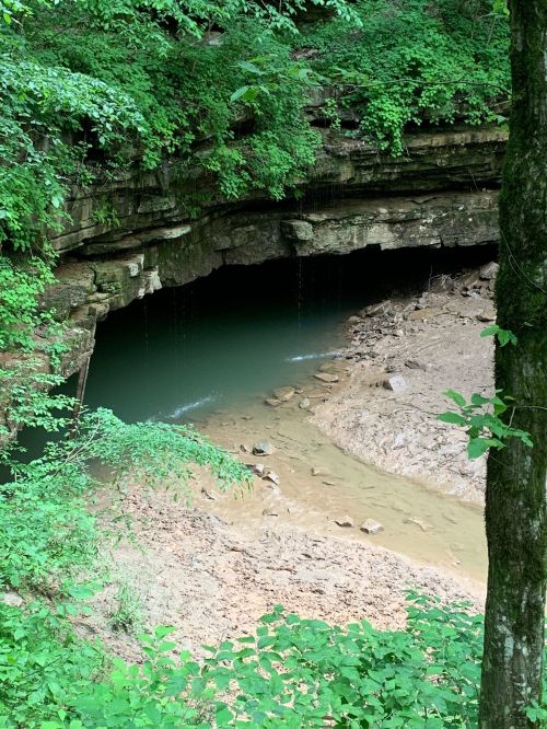 A serene cave entrance surrounded by lush greenery, with a small stream flowing into a rocky, dry riverbed.
