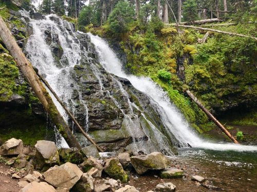 A cascading waterfall surrounded by lush greenery and rocky terrain in a serene forest setting.